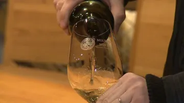 Sto nejlepších vín se představí 2. března ve valtické expozici