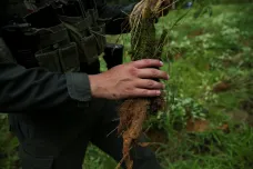 Kolumbie chce vykupovat koku, kterou gangy používají na kokain