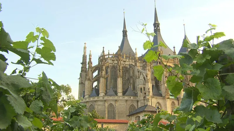 Pohled na Chrám sv. Barbory přes vinice