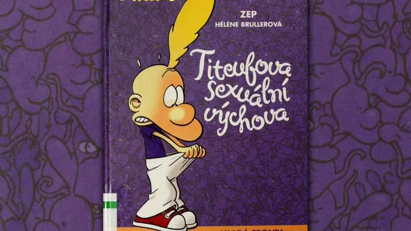 Sexuální výchova