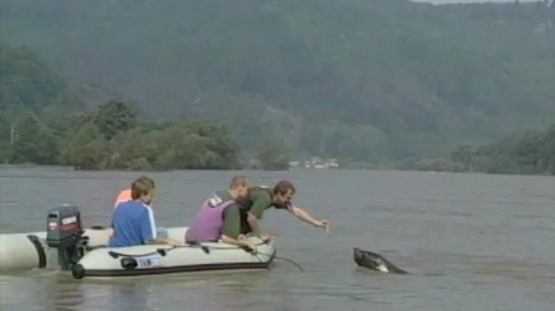 Povodně v pražské zoo