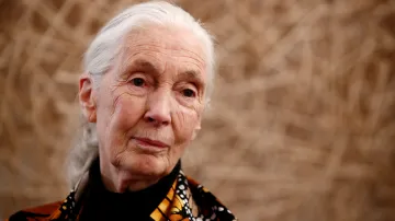 Jane Goodallová