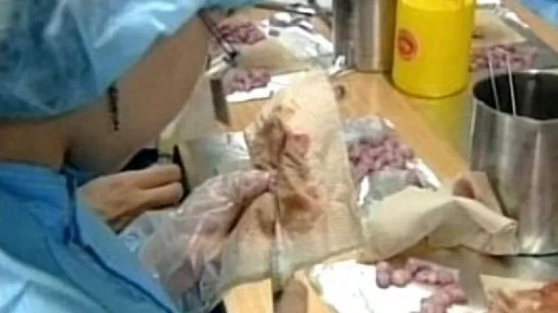 Reportáž Davida Miřejovského