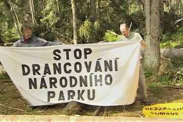 Od blokády Šumavy uběhlo deset let. Dnešní vedení národního parku považuje kácení za zbytečné