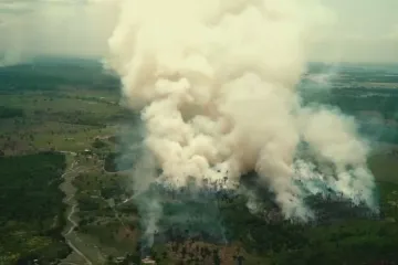 Brazilský prales mizí za prezidenta Bolsonara skoro dvakrát rychleji než loni