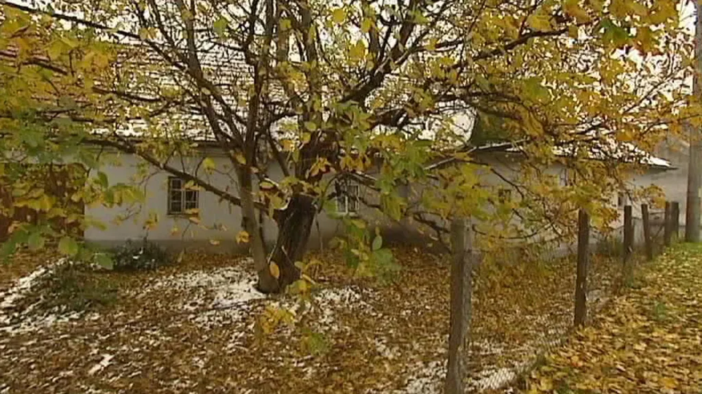 Dům v Kuníně ukrýval velkopěstírnu marihuany