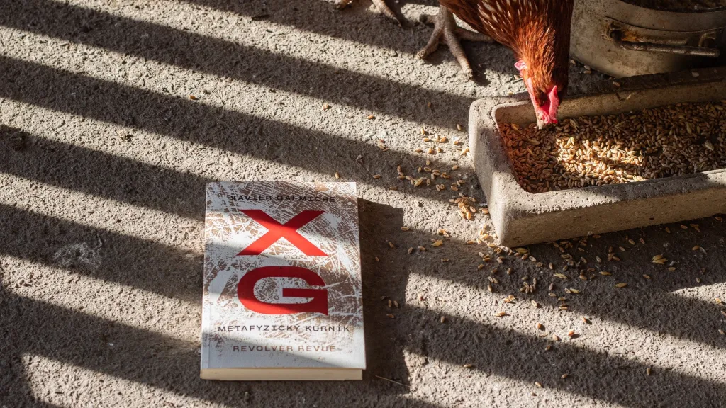 Metafyzický kurník