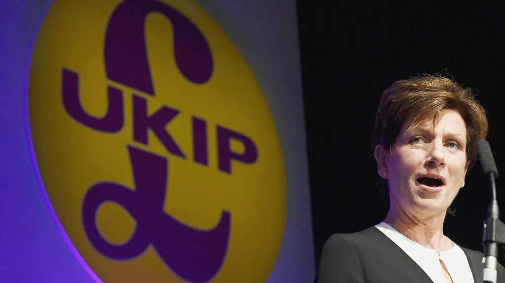 Nová šéfka britské UKIP Diane Jamesová