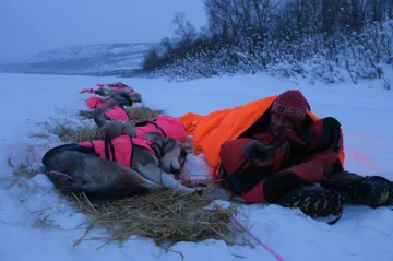 Tip z iVysílání: Nejdelší evropský závod psích spřežení je zápřah i pro českou musherku