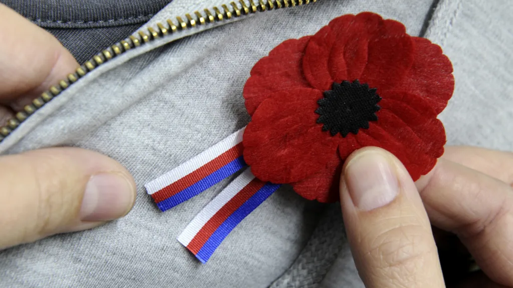 Vlčí mák s trikolorou k připomenutí Dne válečných veteránů