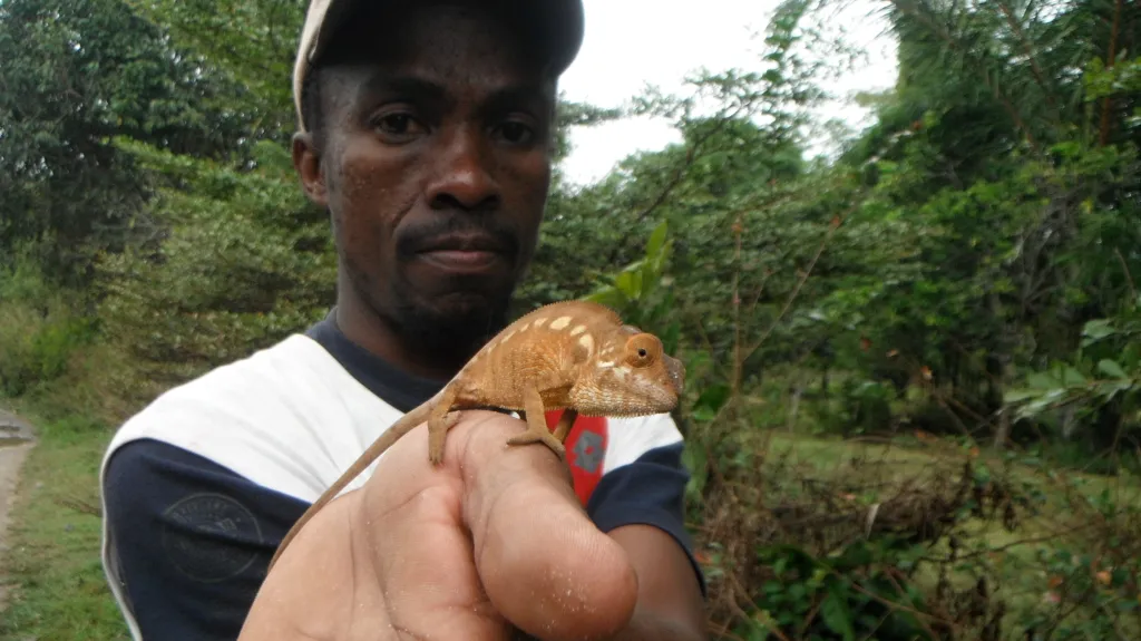Madagaskar