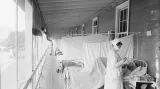 Oddělení nemocných chřipkou v nemocnici Waltera Reeda