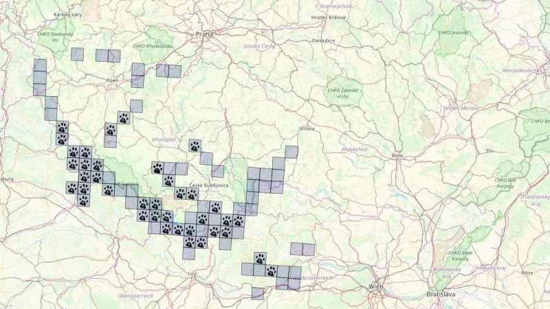 Zaznamenaný výskyt rysů v oblasti Šumavy