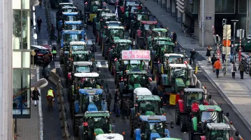 V Bruselu proběhly velké protesty proti zemědělské politice v EU