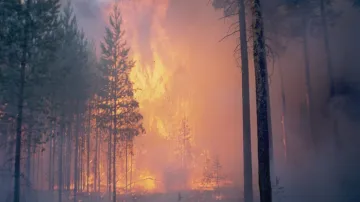 Požár v Krasnojarském kraji