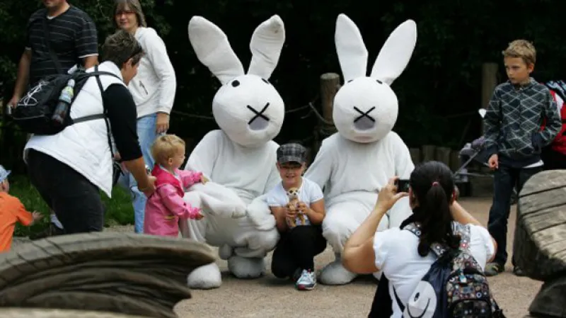 Den České televize