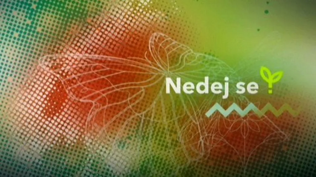 Nedej se