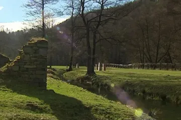 Turisté budou moci znovu do obory Jelenice, soud zrušil zákaz vstupu