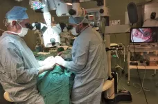 Lékaři v Brně provedli unikátní operaci oka. Do defektní rohovky přenesli nerv z čela