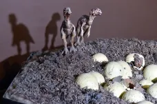 Pravěké tvory Moravy vystavuje brněnské muzeum. Mezi nimi světélkující živočichy i příbuzného mamutů