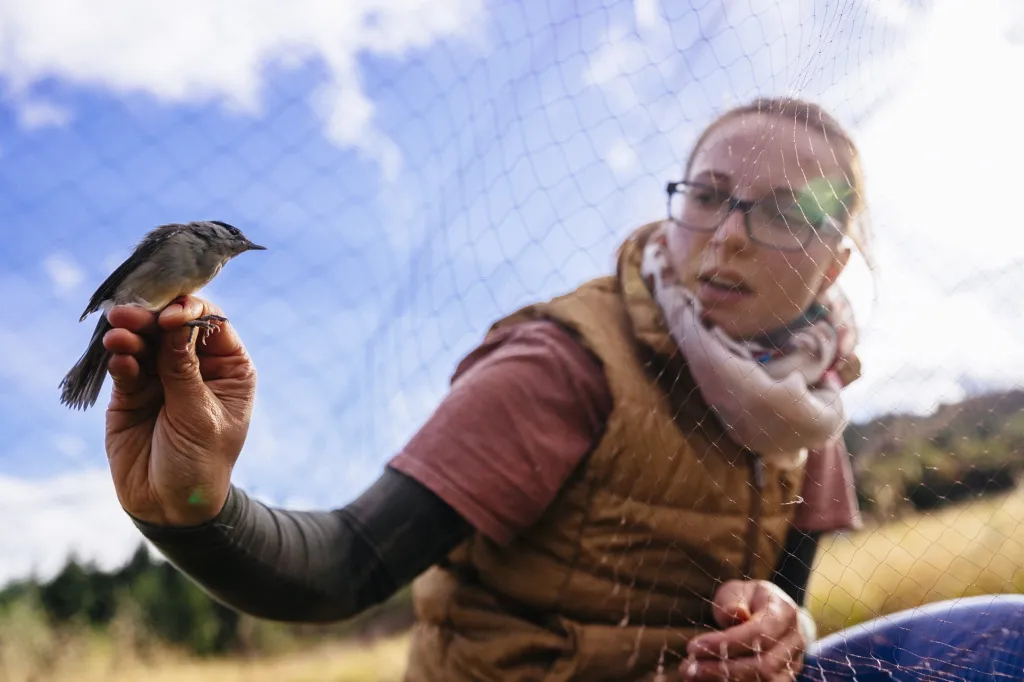 Posledním z trojice nominovaných je Petr Topič za soubor fotografií „Ptačí hlídka“