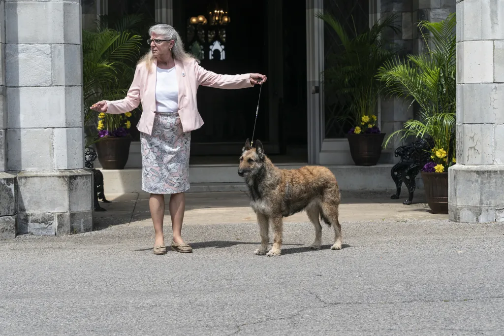Jedna z nejstarších přehlídek psů na světě pořádaná klubem Westminster Kennel Club Dog našla nové místo v zahradách gotického usedlosti zvané Lyndhurst Mansion