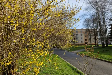 Letní teploty v Česku vydrží do čtvrtka, poté se mírně ochladí