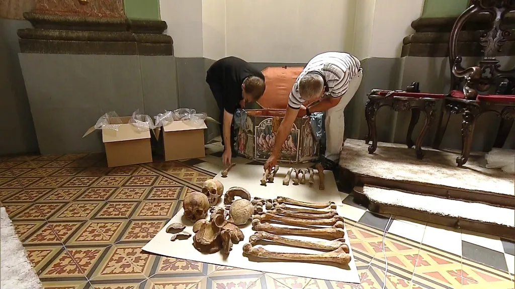 Ostatky Přemyslovců z olomoucké kaple svatého  Štěpána v Klášterním Hradisku