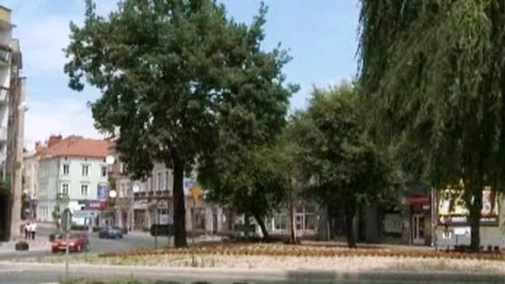 Strom, který nechal vysadit Adolf Hitler