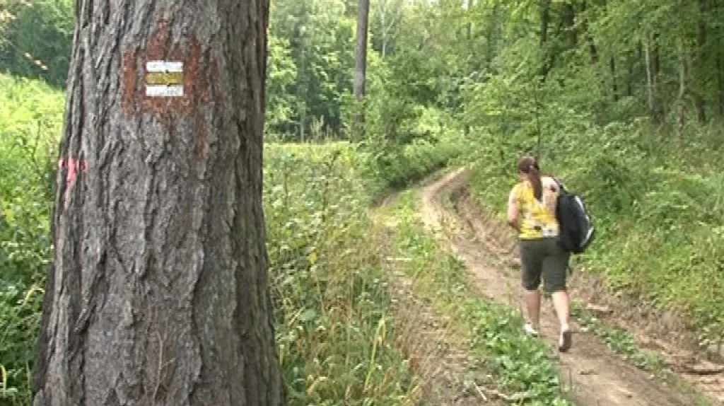 Cesta \"do středověku\" vede po žluté