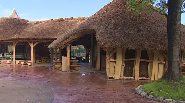 Africká vesnice Samburu v ZOO Brno