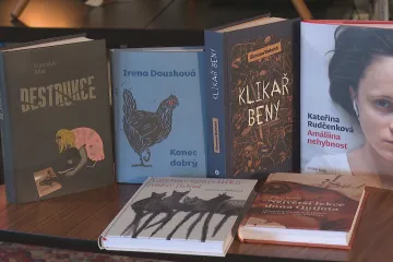 Magnesia Litera vybrala nominace na nejlepší knihy roku 2021. V próze ji přitahuje rozpadající se svět