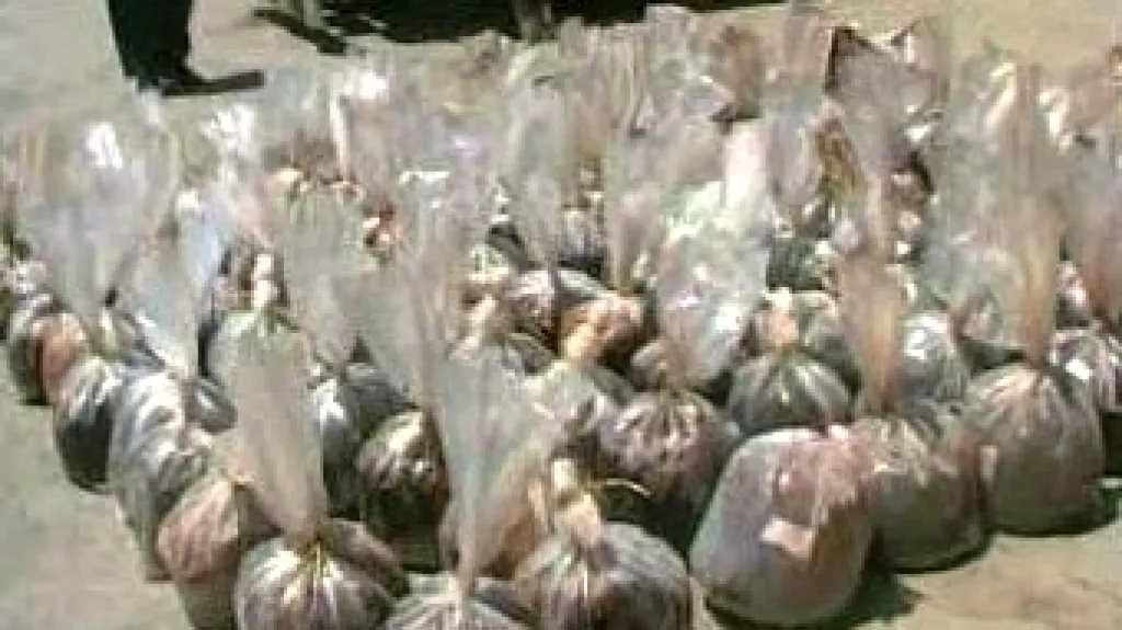 Hašiš
