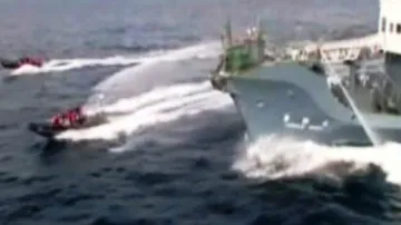 Střet aktivistů s velrybáři
