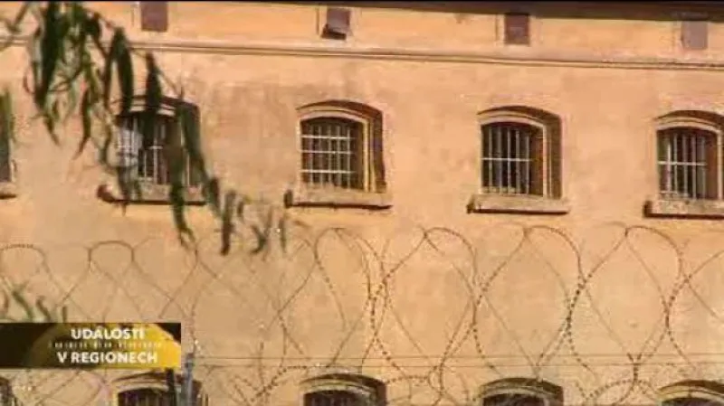 Reportáž Mirky Vildové