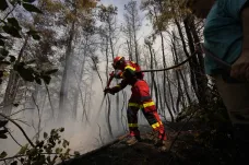 Požáry na Peloponésu opět nabraly na síle, v Alžírsku má oheň nejméně 65 obětí