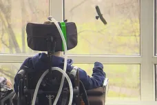 Handicapovaným se zvedl příspěvek na mobilitu. Pacienti s plicními přístroji mají nově nárok na další podporu