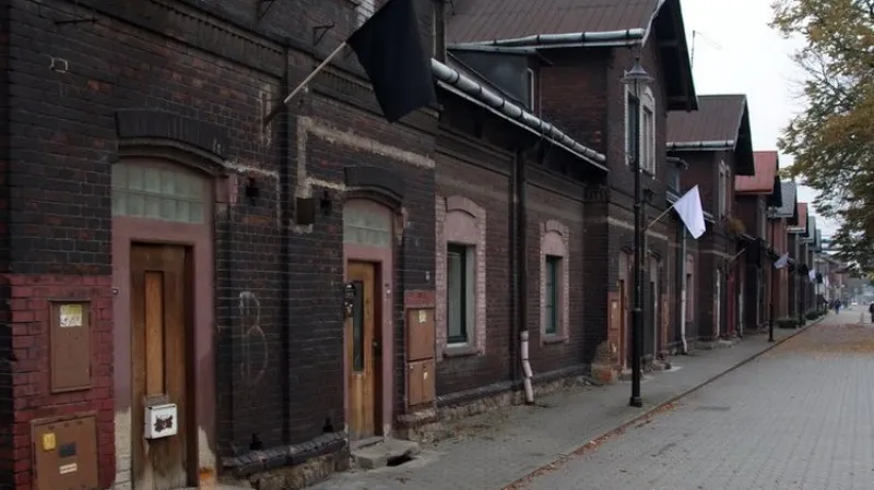 Blakcmedia / Potřebujeme v záři blyštivé budoucnosti vlajky?