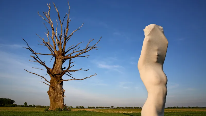 Vlastimil Raška / Stromy života