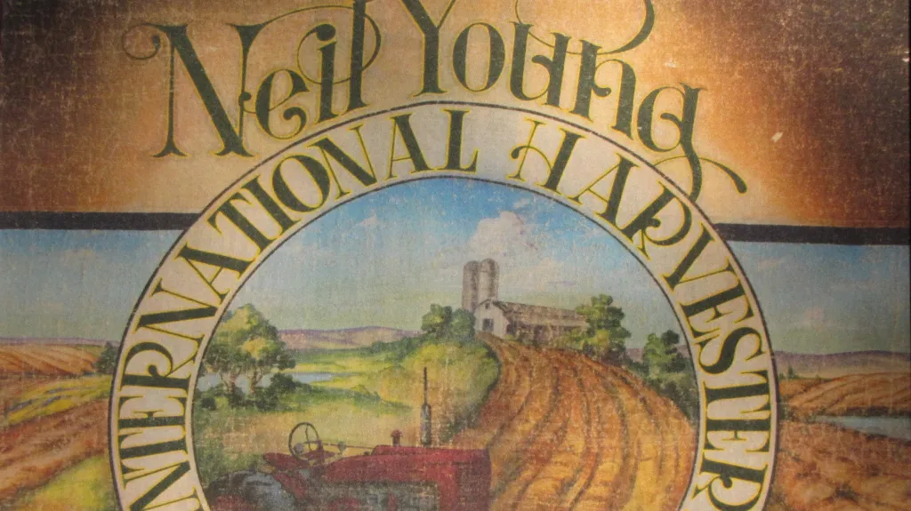 Neil Young / A Treasure