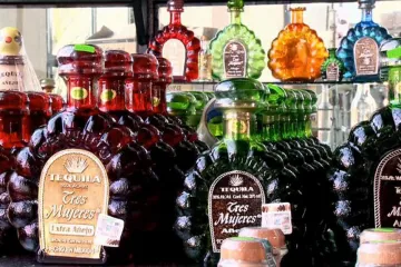 Odpad z výroby tequily se využívá jako biotopivo