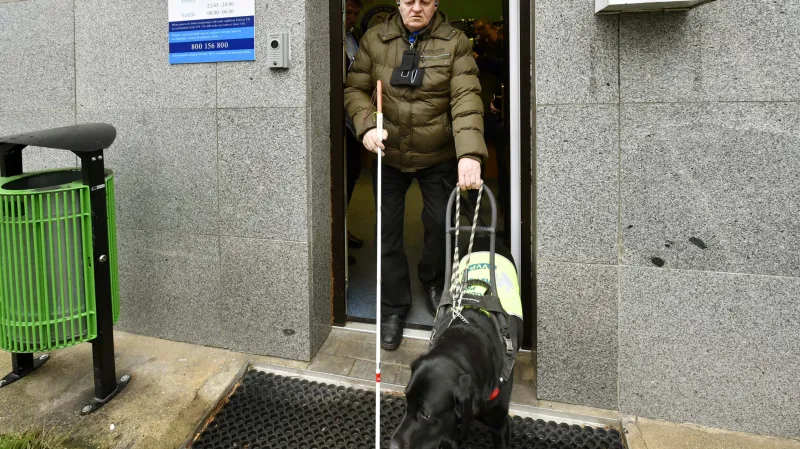 Elektronická slepecká hůl