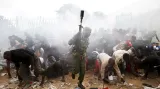 Policista se snaží kontrolovat slzným plynem dav, který se tlačí k branám stadionu, kde probíhá inaugurace nově zvoleného keňského prezidenta Uhuru Kenyatty.
