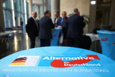 Němečtí sociální demokraté budou usilovat o zákaz AfD