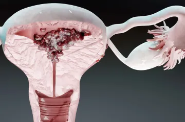 Vaječníky po menopauze mohou pomáhat s imunitou, naznačuje studie