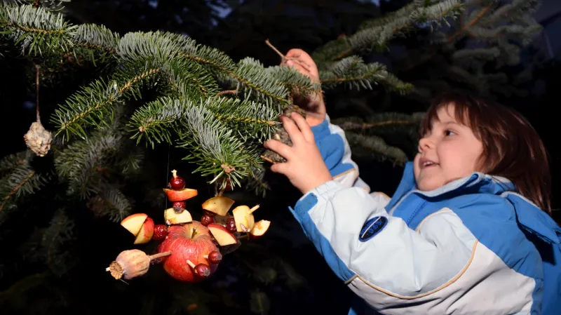 Děti mohly své ozdoby pověsit na jedli před stanicí