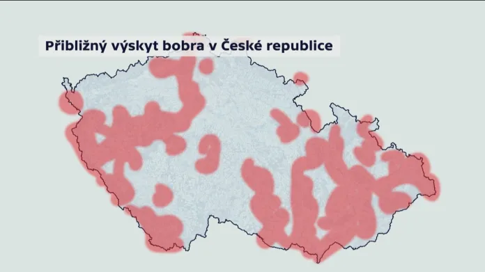 Přibližný výskyt bobra v České republice