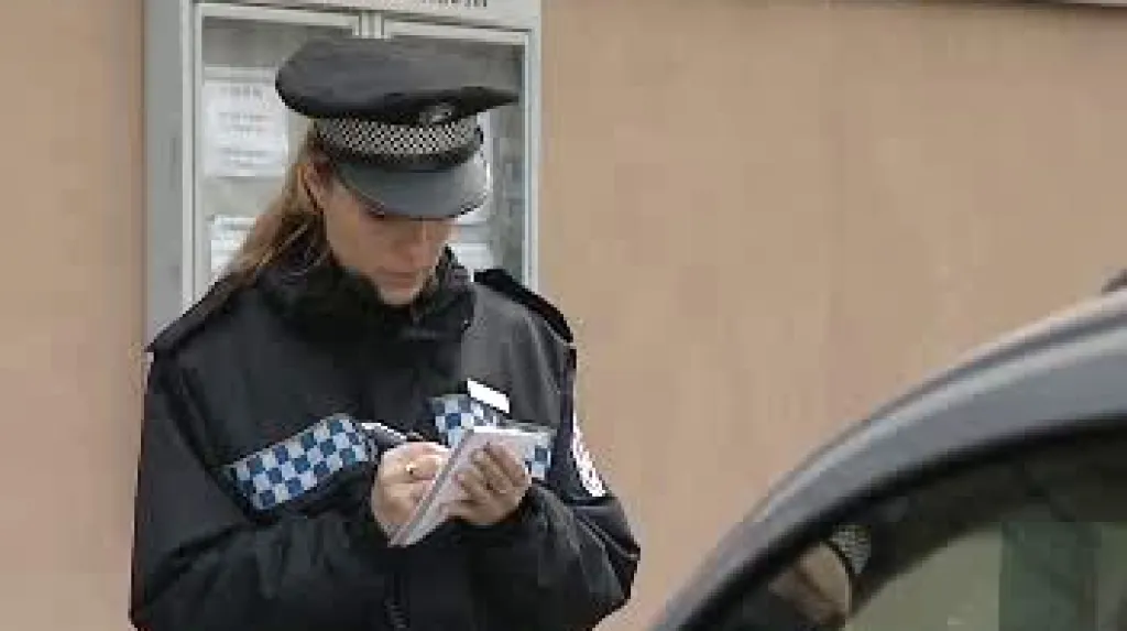 Policistka