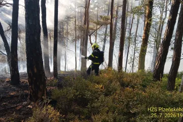 Desítky hasičů dohašují požár pěti hektarů lesa u Velhartic