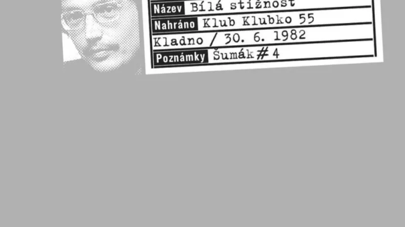 Vladimír Merta a Emil Viklický / Bílá stížnost